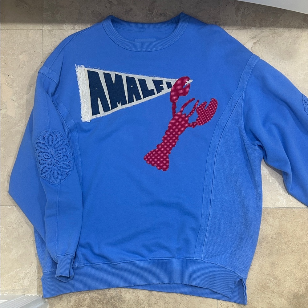 NEVER WORN! XS FITS LIKE SMALL OVERSIZED Aerie Crewneck Sweater with Red Lobster